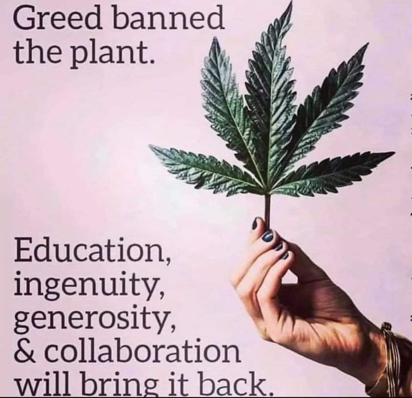 💚

#law #justice #legalsystem #reform #bongs #vapes #bubblers #joints #glasspipes #headshop #thc #cbd #cannabis #marijuana #indica #sativa #MOREAct