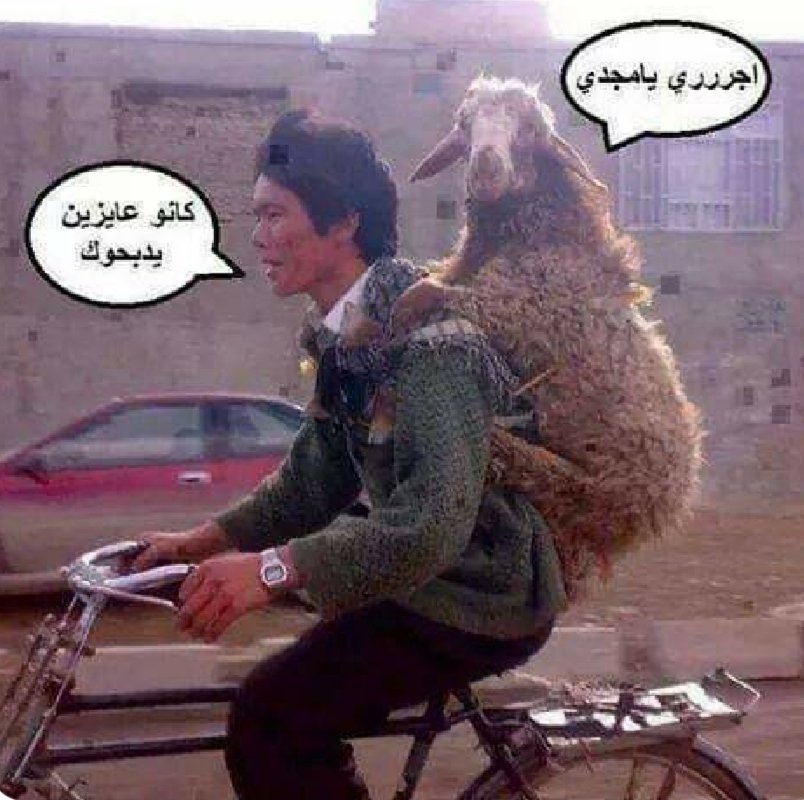 #موقف_مع_جاموسة_العيد
ده شكل فسدق اول يوم العيد باذن الله