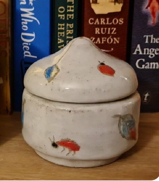Jeanseenseldom's tweet photo. For fairy jewelry I expect
#GDbirthday
#lidsonpots https://t.co/LI0wfFpkvB
