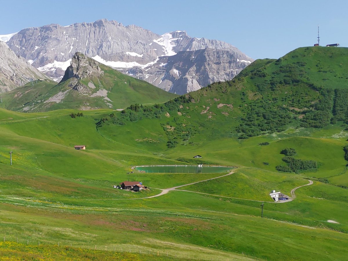 lexruee's tweet photo. Hahnenmoospass mit dem Rennrad. Ja, es ist möglich 😂. #myswitzerland #hahnenmoos #cycling #berneroberland #Switzerland #lenk #adelboden https://t.co/4GaP632QgC