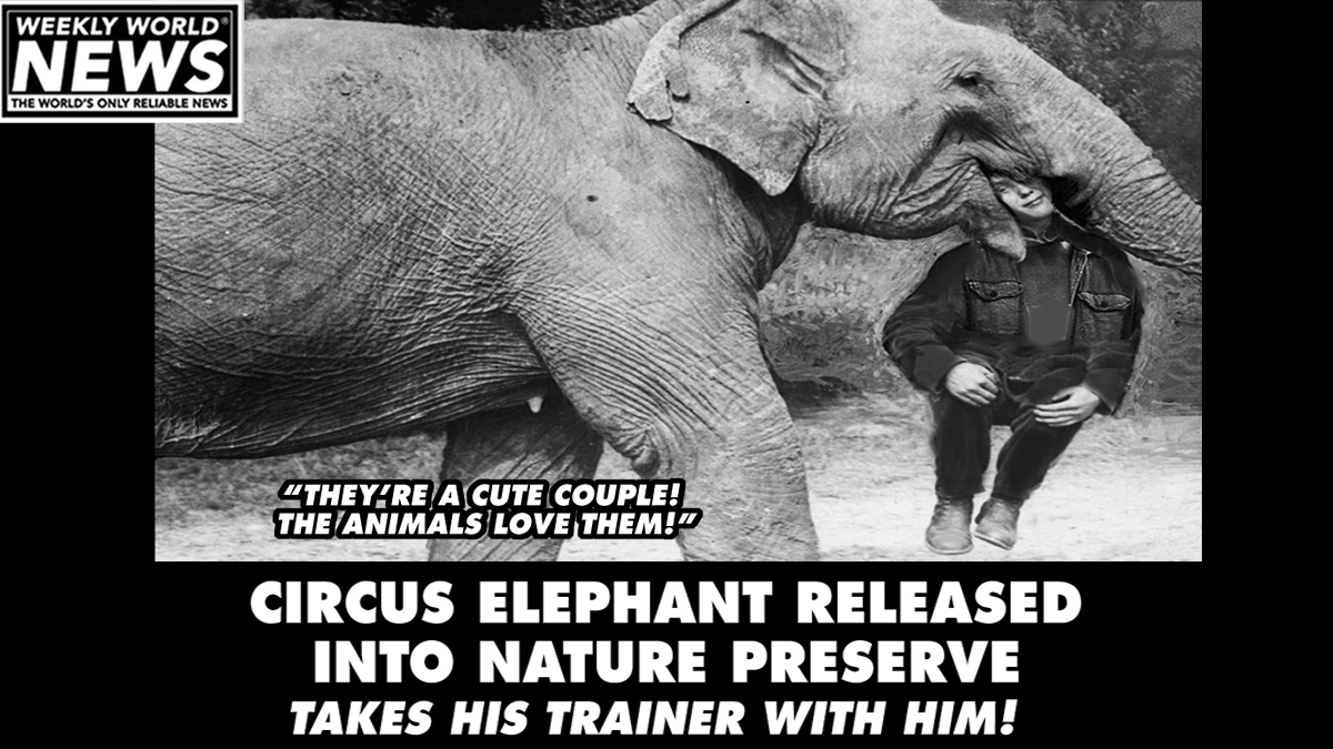Love never forgets.
#elephants #trainer #animaltrainer #animals