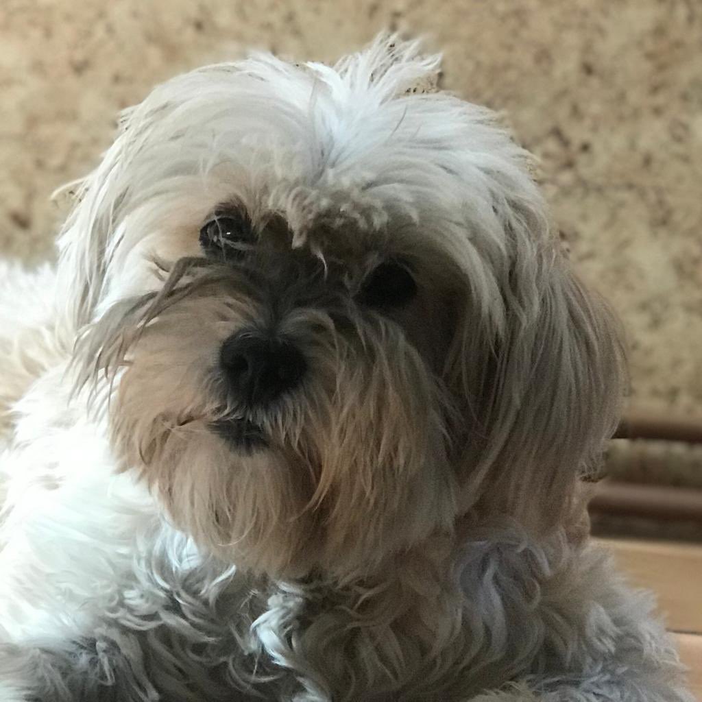 Bon viatge #Chiqui.
Sempre amb nosaltres.
😢