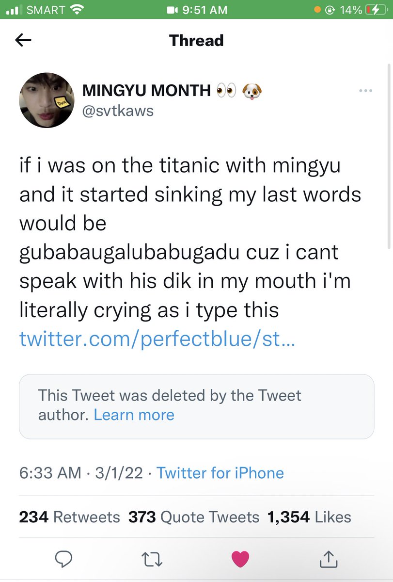 6. tweet mingyu smash or pass, quando as pessoas postam algo assim