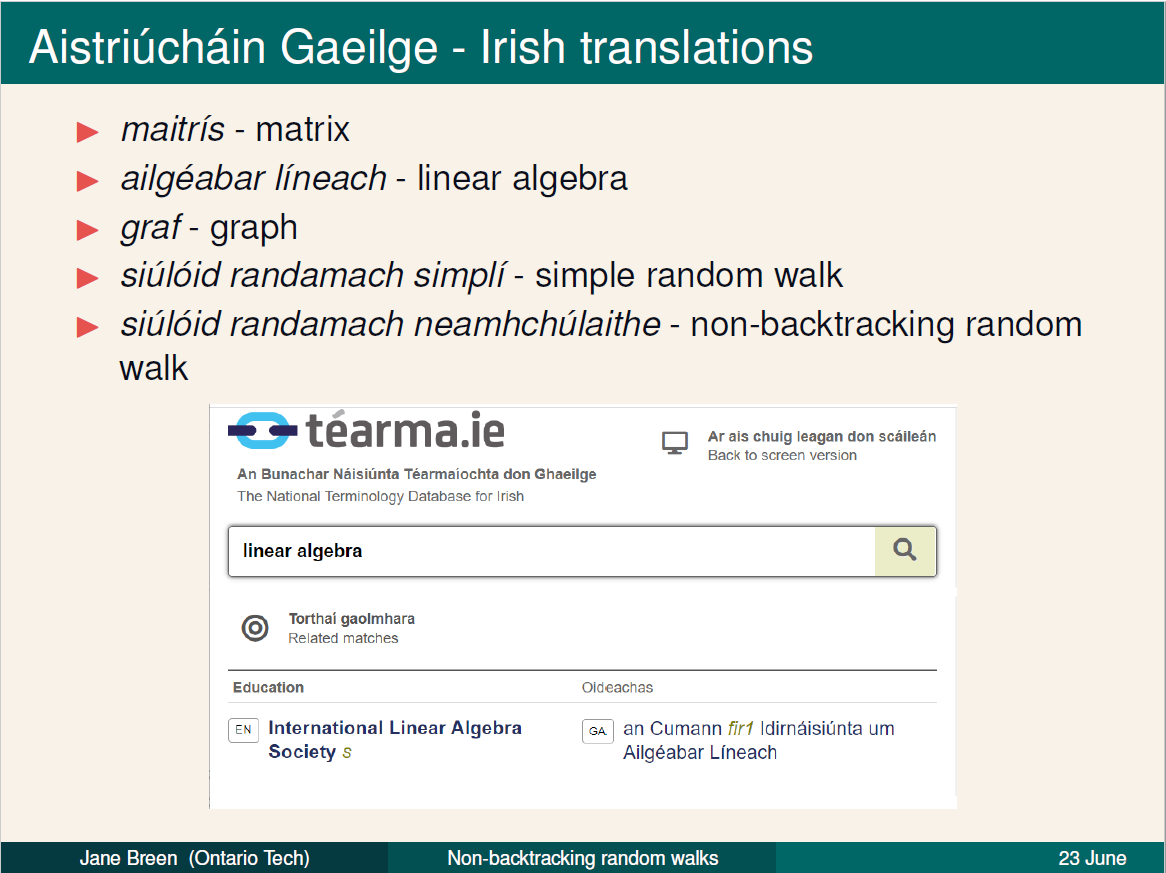 5/ I had a slide with translations of some basic linear algebra terms, and used up 5 of my 20 precious minutes telling my international audience about Irish and my excitement in learning it and using it.