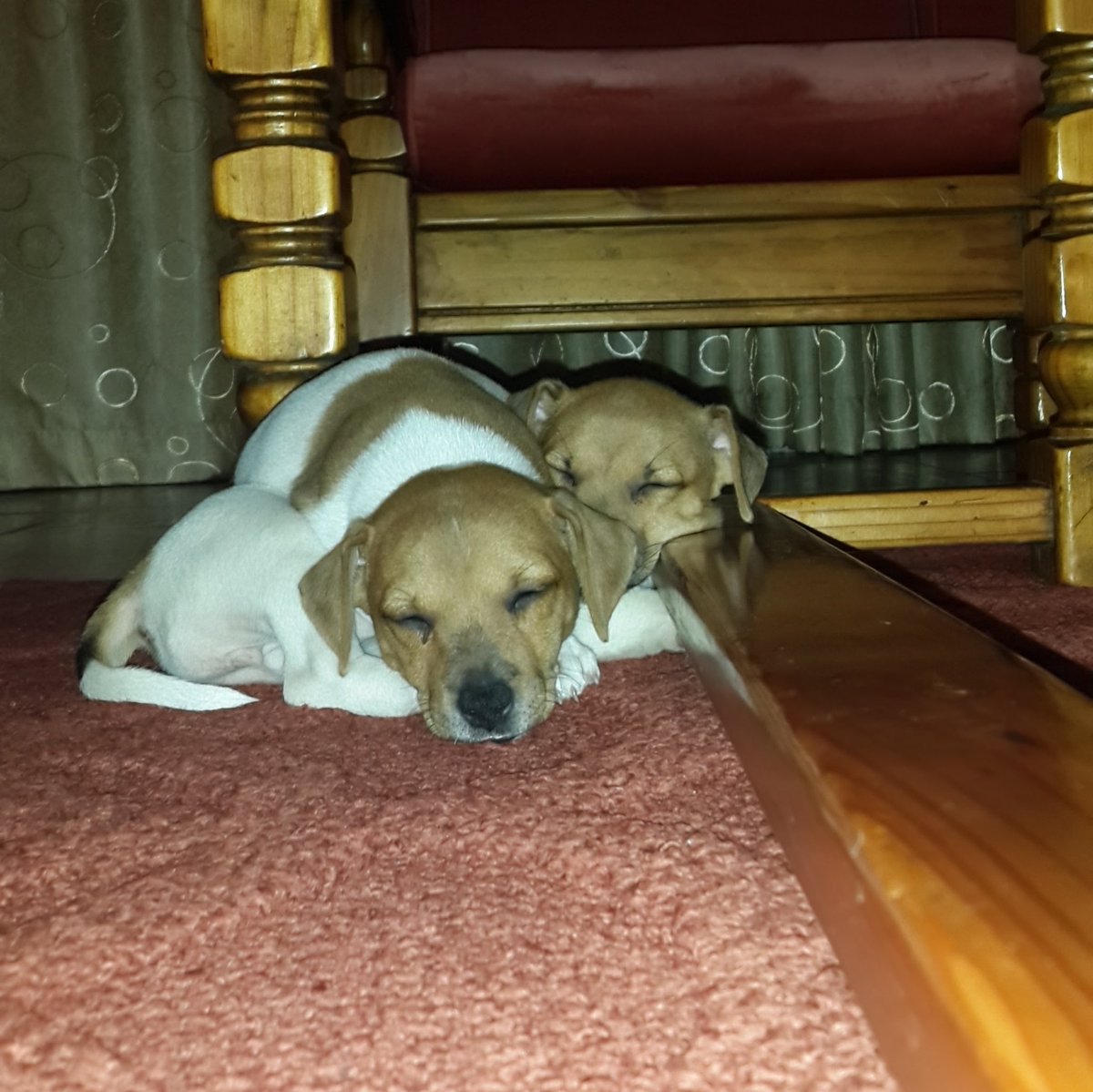 @Vaneshree02 tweet media