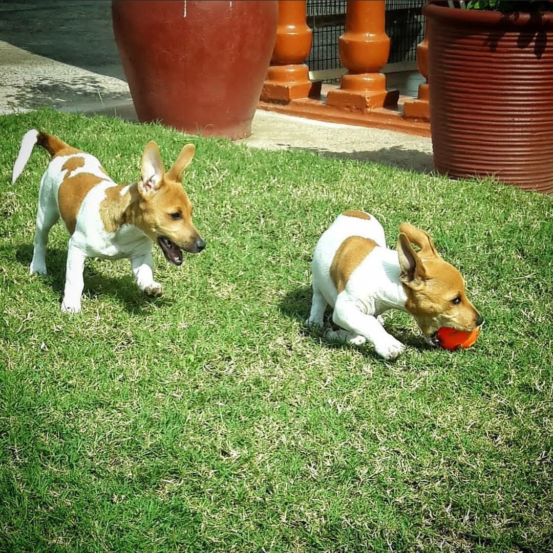 @Vaneshree02 tweet media