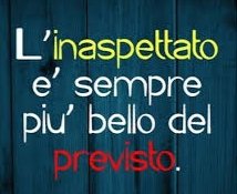 Daniela Lami tweet media