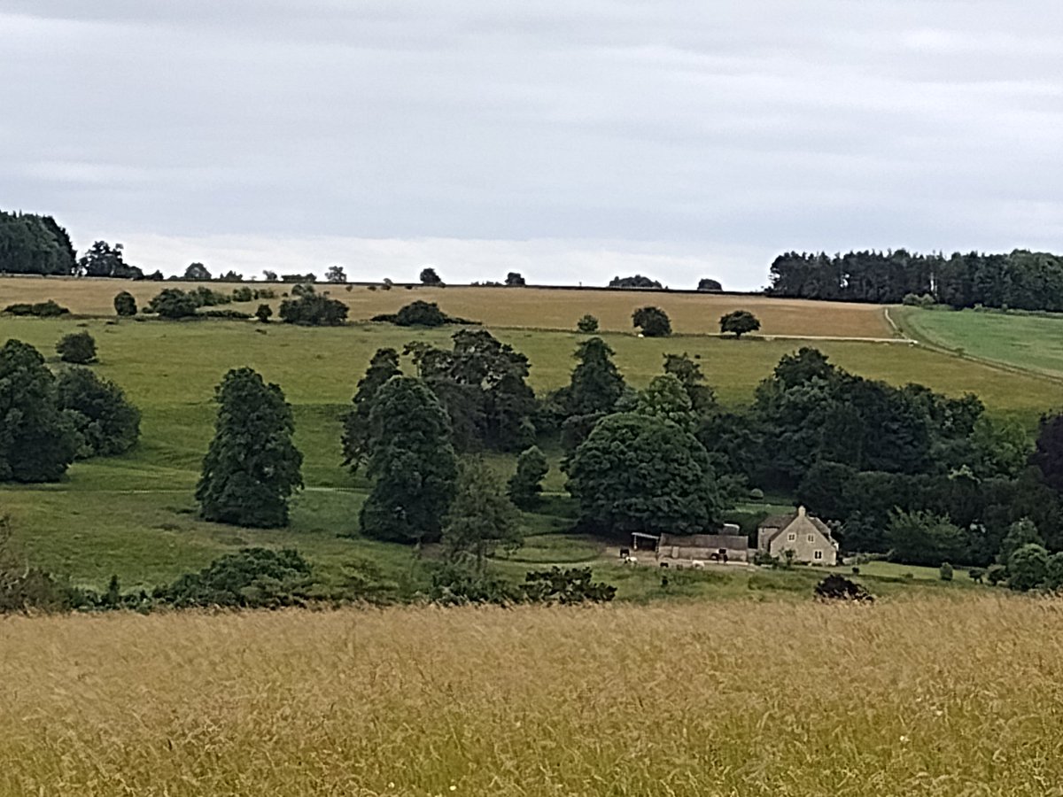 EquineTherapyC's tweet photo. A different view of the herd and our site. They are chilling on our little track, which helps with weight control in the summer months! 

#horses #herd #herdlife #tracklife #tracksystem #trackhorses #weightmanagementforhorses #therapyhorse #equinetherapy #countryside #cotswolds https://t.co/PnonfN3kvK