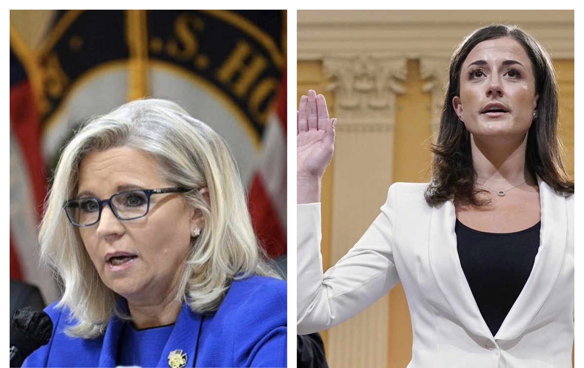 Hey Republican men, this is what having “balls” looks like! It’s called PATRIOTISM &amp; COURAGE!  Putting your country before party. Take note 📝 #CassidyHutchinson #LizCheney #January6thHearings