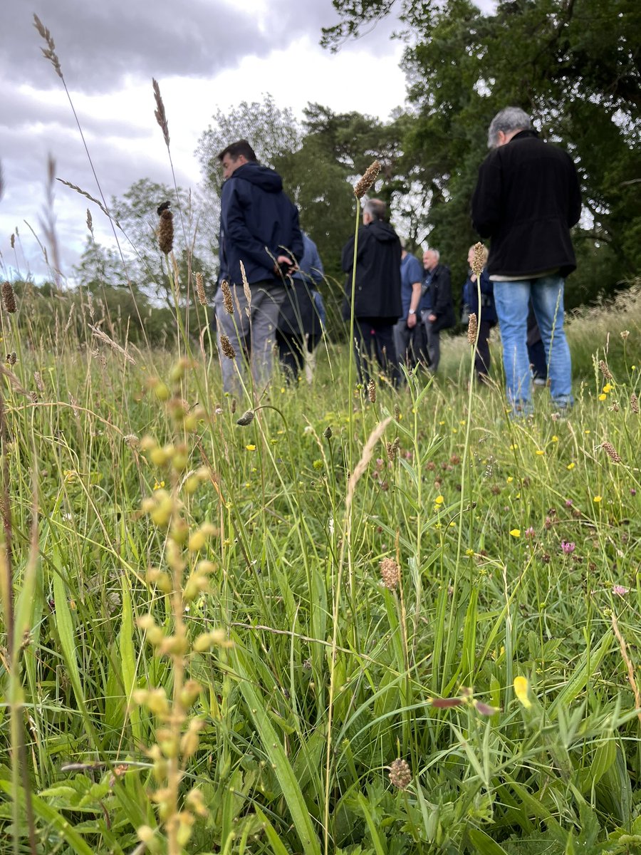 Sophie_Bourton's tweet photo. Skylarks singing and clouds of marbled white in the #CambridgeNatureNetwork . It was great to meet the @NaturalEngland team in person. After some persuasion I managed to convince @Alan_Law_ to take a new profile picture to go alongside his new account 🤣 #30dayswild https://t.co/uVqUu9p4oD