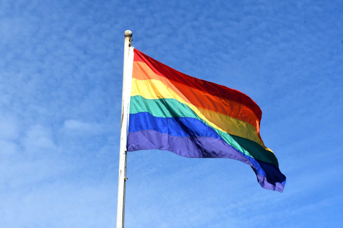 Mineduc's tweet image. Hoy conmemoramos a las disidencias y diversidades sexuales, desplegando en nuestras dependencias la bandera LGBTIQA+ junto al ministro @ProfMarcoAvila, funcionari@s y representantes de @fenaedup.

La educación debe ser un espacio de respeto y valoración de la diversidad humana!🏳️‍🌈