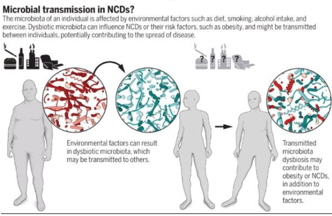 For all the Microbiomes and Quantum"fans"- this interesting discussion is for you 

linkedin.com/feed/update/ur…
