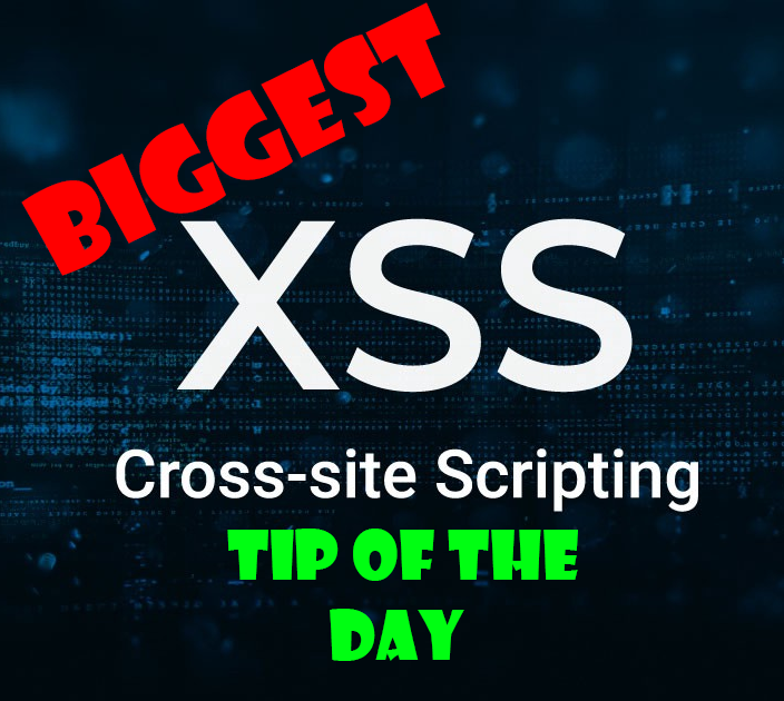 BUG BOUNTY TIPS: CROSS SITE SCRIPTING AUTOMATION