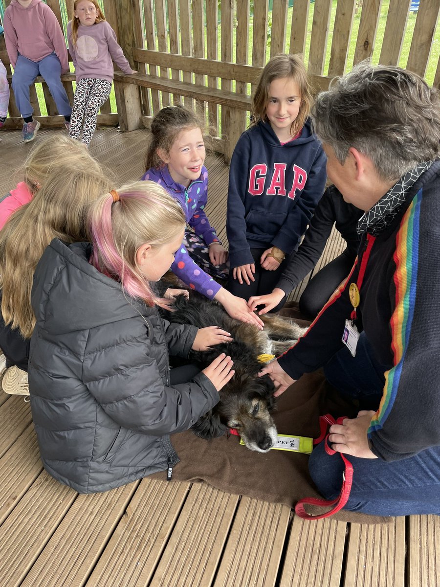 Dunbar Primary P4 tweet media