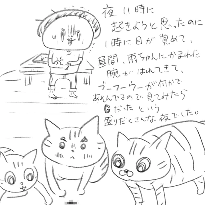 まだ薄暗かったのでくじけそうになりながらも瀕死のGを片づけました。
皮膚科にも朝イチで行ってきます。
とりあえず5時なので散歩へGO⭐︎ 