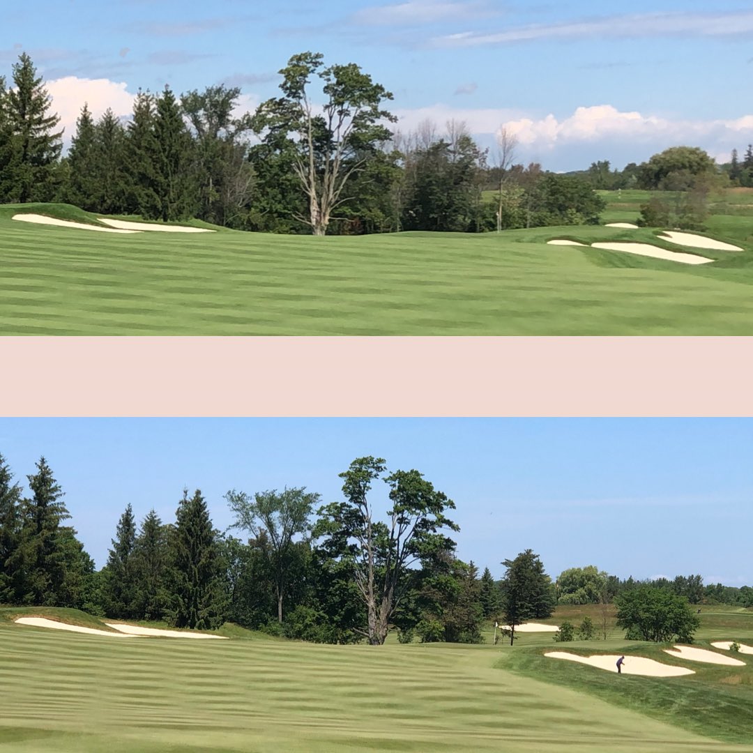 Who doesn’t love a short par 4. I’m not sure if Tom Fazio planned to have  adjacent hole’s bunkers look stacked on top of each other but after clearing underbrush and mostly ash trees, this is the finished product… well for now 🪚