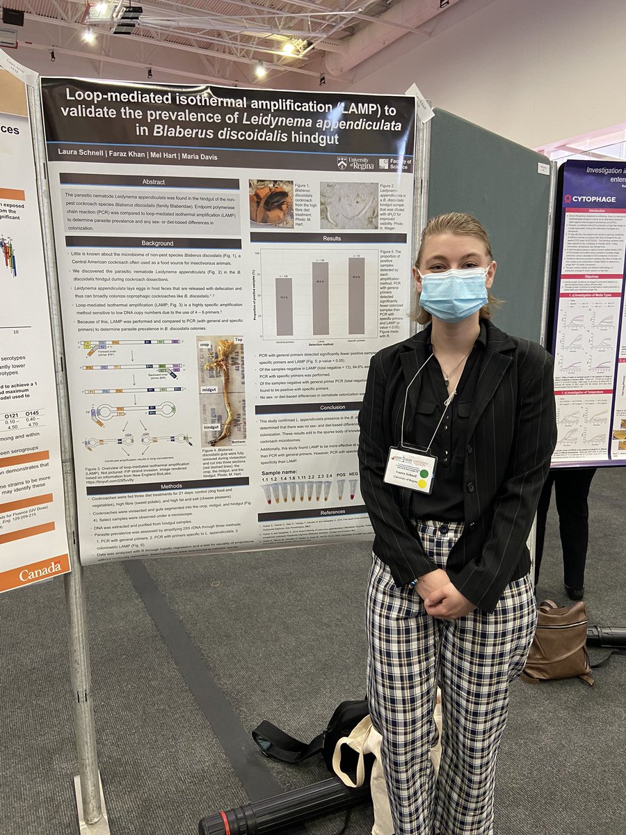 Maria Correia Davis (@mcd_611) on Twitter photo So proud of my student Laura!
Who presenting her first poster at her first (of many 🤩) <a href="/CSM_SCM/">Canadian Soc. Micro.</a>. Laura is presenting her work on nematode #leidy parasitising cockroach 🪳 guts #CSM_SCM2022 #undergraduateresearch <a href="/UofRScience/">Faculty of Science University of Regina</a> Come check out our work <a href="/csm_scm2022/">CSM_SCM2022</a>! So proud of my student Laura!
Who presenting her first poster at her first (of many 🤩) <a href="/CSM_SCM/">Canadian Soc. Micro.</a>. Laura is presenting her work on nematode #leidy parasitising cockroach 🪳 guts #CSM_SCM2022 #undergraduateresearch <a href="/UofRScience/">Faculty of Science University of Regina</a> Come check out our work <a href="/csm_scm2022/">CSM_SCM2022</a>!