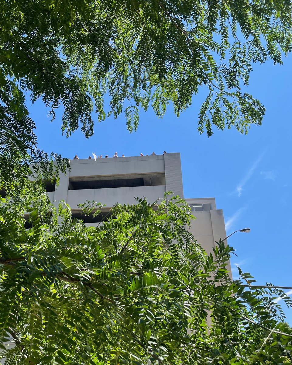 BU_chemistry's tweet image. Today was the day of our annual giant paper airplane launch from the top of the parking garage. Summer researchers from @ButlerBiology joined us and a great deal of fun ensued. One of the planes even landed on Lake Road! @butleru