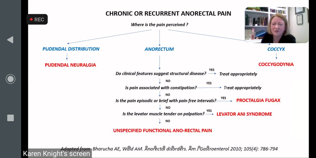 Rebecca Griggs (@rebeccaklgriggs) on Twitter photo Great presentations and useful algorithms for investigation and management of ODS and chronic or recurrent anorectal pain conditions from <a href="/EmmaVCarrington/">Emma Carrington</a> and <a href="/TelfordKaren999/">Karen Telford</a> definitely worth catching up online at any stage of training <a href="/ACPGBI/">@ACPGBI</a> <a href="/TPFSuk/">Pelvic Floor Society</a> <a href="/Dukes_Club/">The Dukes' Club</a> Great presentations and useful algorithms for investigation and management of ODS and chronic or recurrent anorectal pain conditions from <a href="/EmmaVCarrington/">Emma Carrington</a> and <a href="/TelfordKaren999/">Karen Telford</a> definitely worth catching up online at any stage of training <a href="/ACPGBI/">@ACPGBI</a> <a href="/TPFSuk/">Pelvic Floor Society</a> <a href="/Dukes_Club/">The Dukes' Club</a>