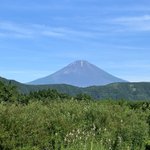 ツイートに含まれる画像