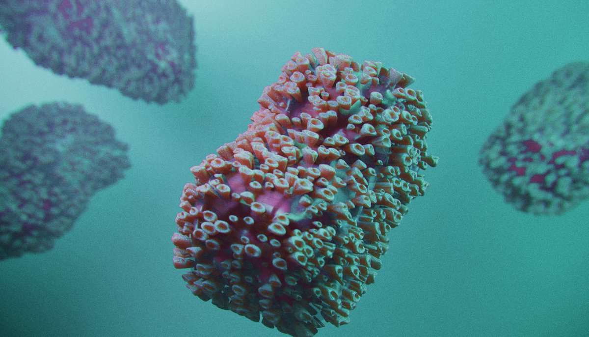 Seegene develops PCR test* designed to detect monkeypox virus
Press Release: seegenetech.com/seegene-develo…

*Available in the US for Research Use Only. Not for use in Diagnostic Procedures.

#PublicHealth #MonkeypoxVirus #InfectiousDisease #IDtwitter