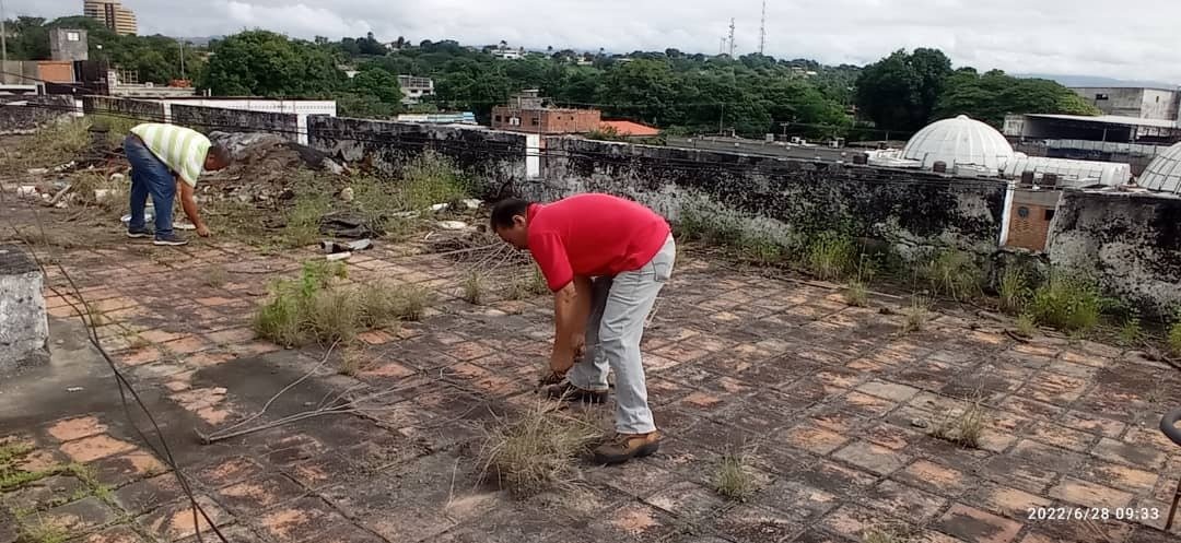 Unefa_Portugues's tweet photo. #28JUN22 En #ExtAcarigua del #NucleoPortuguesa, personal de Ingeniería y Servicios, conjuntamente con Bienes Muebles realizan limpieza, acondicionamiento y evaluación de mejoras a la infraestructuras del edificio Bandagro, donde funciona la UNEFA-Acarigua. @angiolillofp https://t.co/suvcZWmwc5