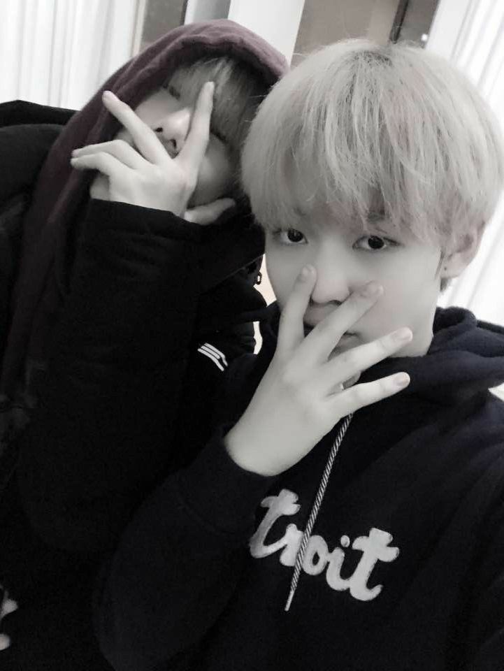 Giulia + mambo (@sonojisung) on Twitter photo 