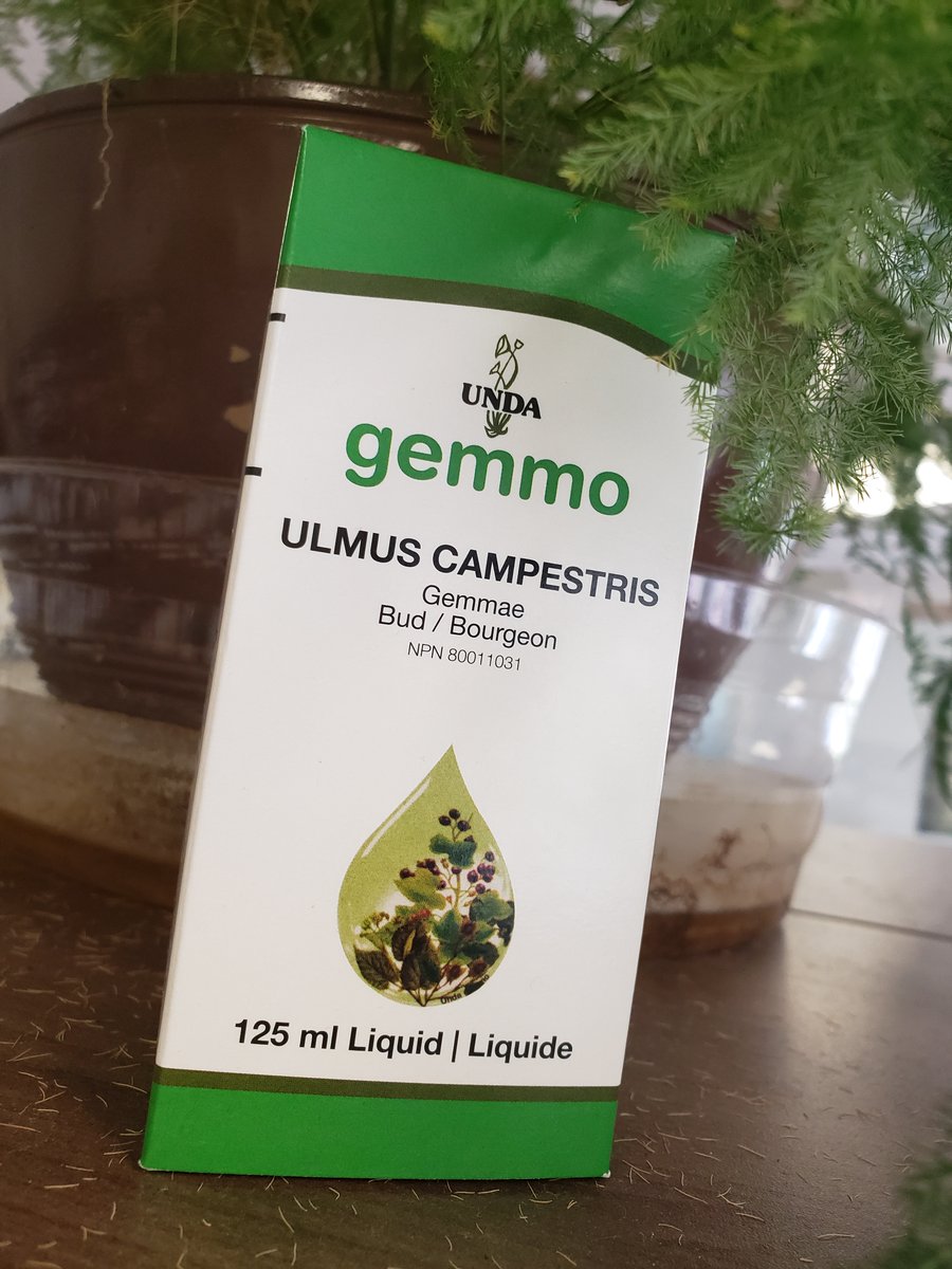 UNDA Gemmo Ulmus Campestris helps detoxify the body from the inside and reduces uric acid and cholesterol - it can also be used for all types of eczema and can even be used to help stop diarrhea!

#holistic #holisticmeanswhole #natural #wellnessjourney #healthy #healthbenefits
