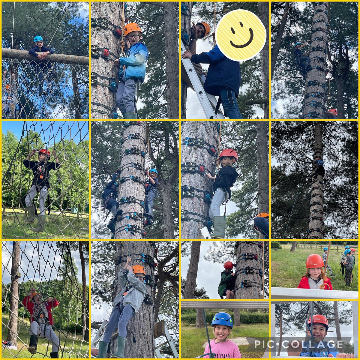 BridgeMalin's tweet photo. Just monkeying around🐒 https://t.co/Q9LAv5qVpZ
