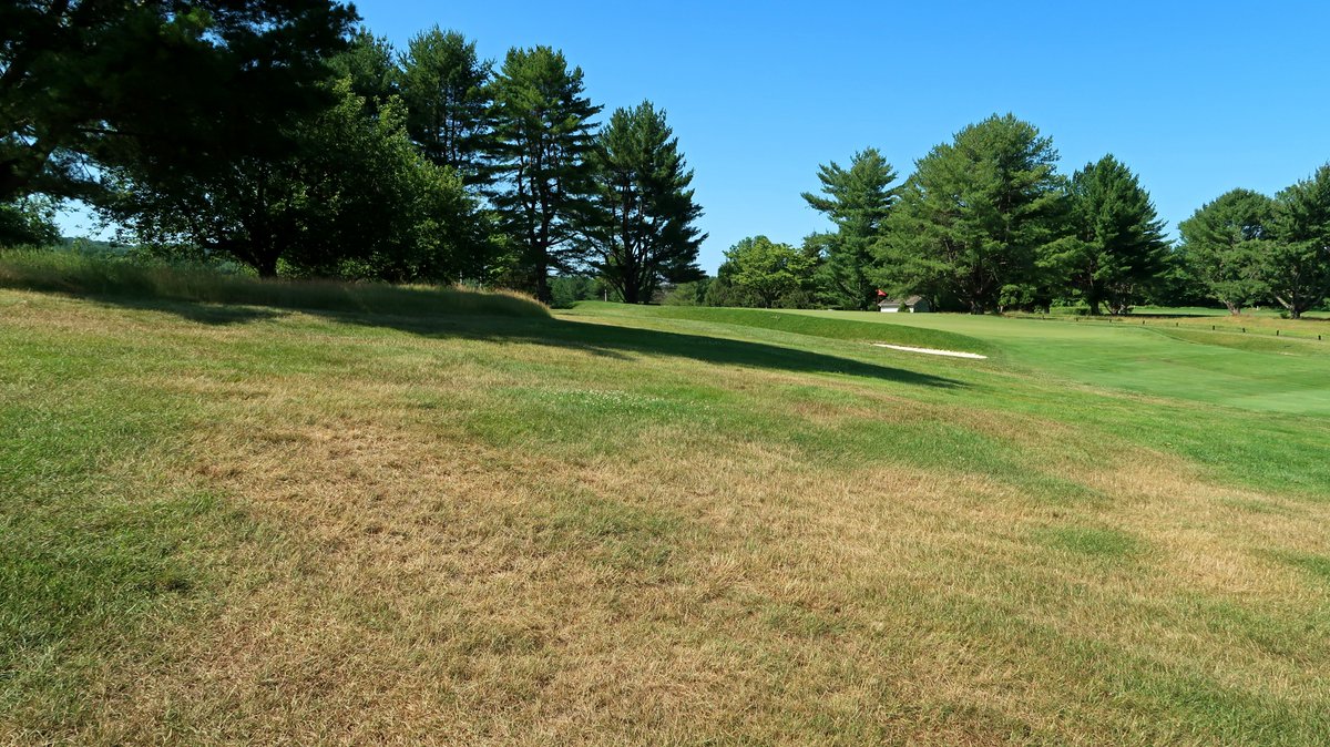 Don't be surprised to see some brown or thin areas in the rough during hot summer weather. Many courses don't have the resources or infrastructure to maintain totally uniform rough &amp; inconsistency is part of the price we pay for missing fairways anyway ➡️ bit.ly/2TtU8oz
