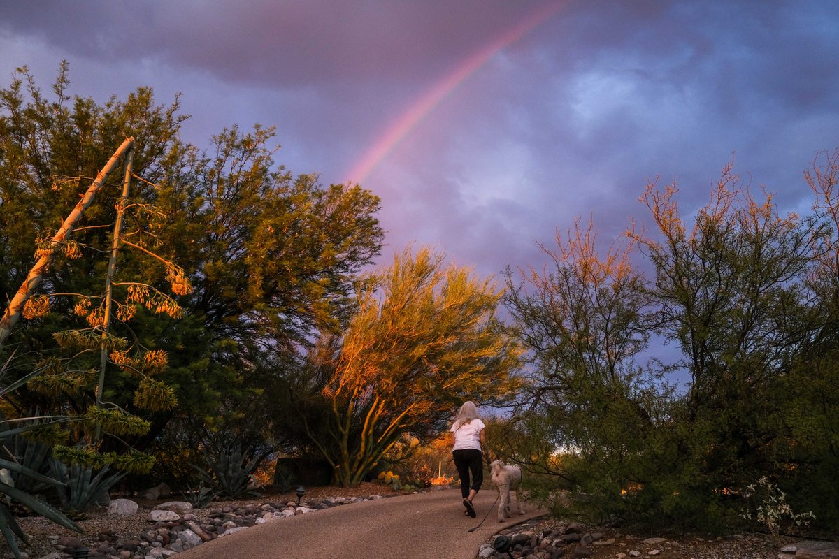 spigelman's tweet photo. We were amply rewarded by the LIGHT for having no rain here last evening. Thanks Mother Nature. @fujifilmx_us #fujifilmx100v #tucson. But remember, we need the rain as well. https://t.co/mP0obPBLUM