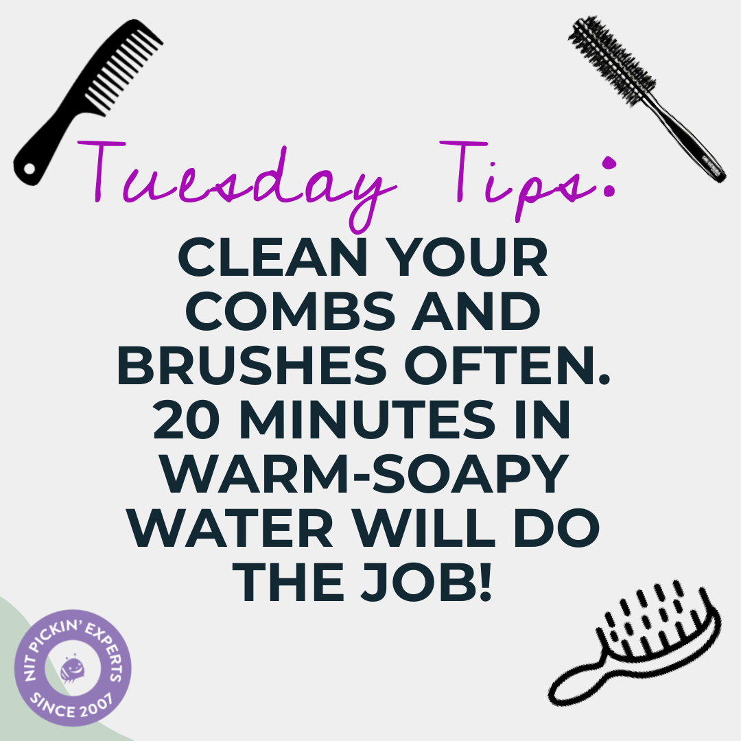 NitExperts's tweet image. Tuesday Tips! 
#liceremoval #bayarea #womanowned