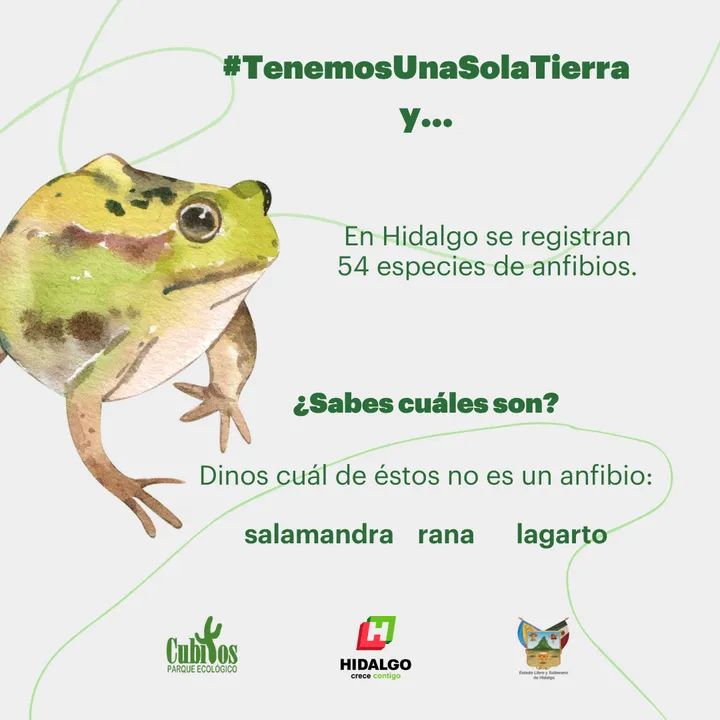 CECyTEHPachuc's tweet photo. #TenemosUnaSolaTierra
#DiaMundialDelMedioAmbiente https://t.co/IMKcbivTsF