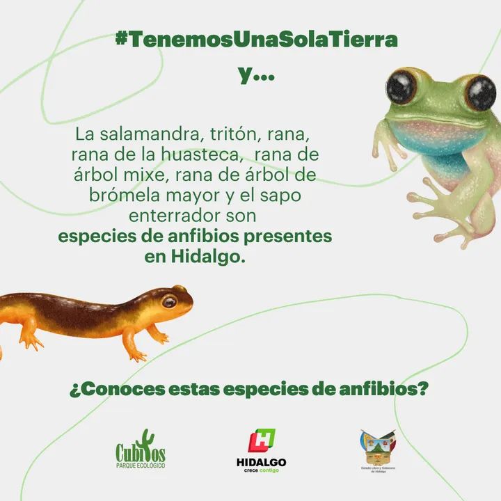 CECyTEHPachuc's tweet photo. #TenemosUnaSolaTierra
#DiaMundialDelMedioAmbiente https://t.co/IMKcbivTsF