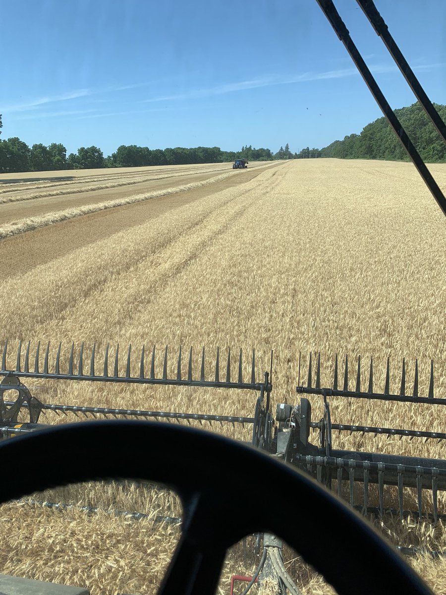 mitch webb tweet media