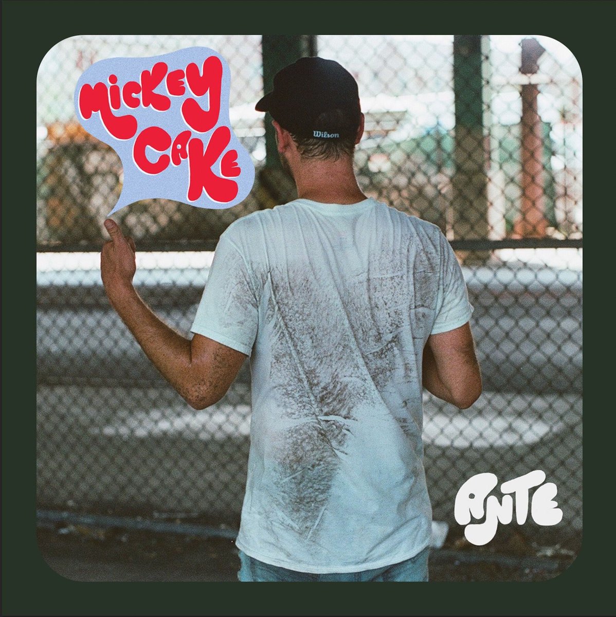 Mickey Cake tweet media