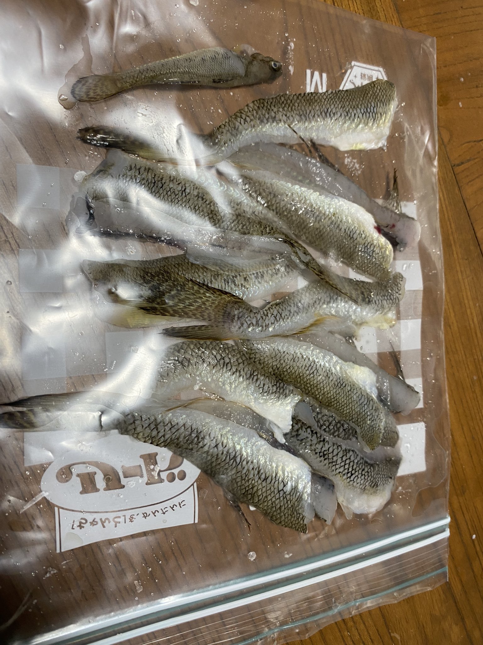 酒の魚 Twitter Search Twitter