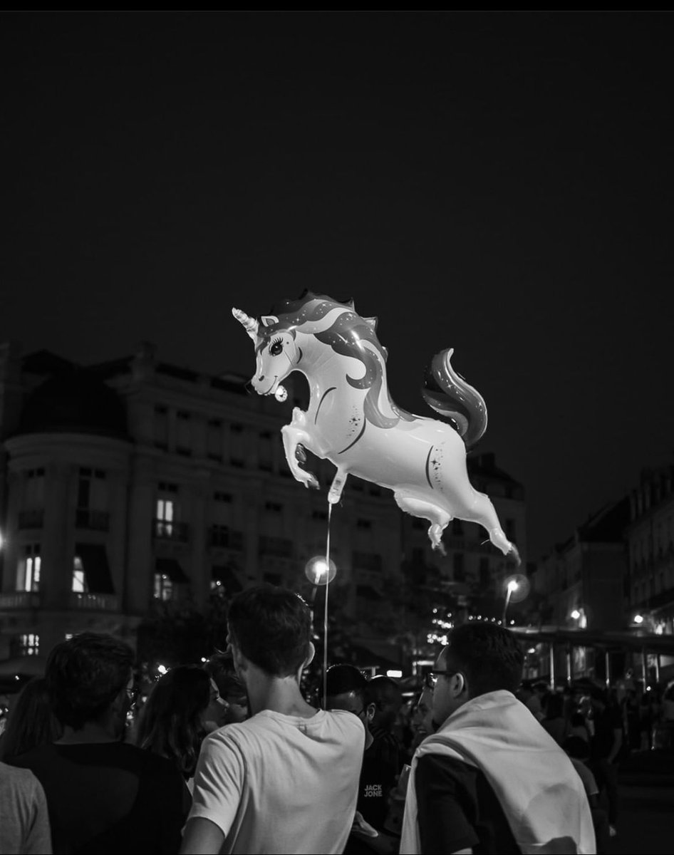 A #angers les licornes 🦄 sortent la nuit 😅 Merci à Dominique d’avoir capturer cette créature lors de la fête de la musique 🎶 . #igersanjou #visitangers --- 🔎 Sélection du jour : @KarineSureau Lien 📷 : instagram.com/focalement