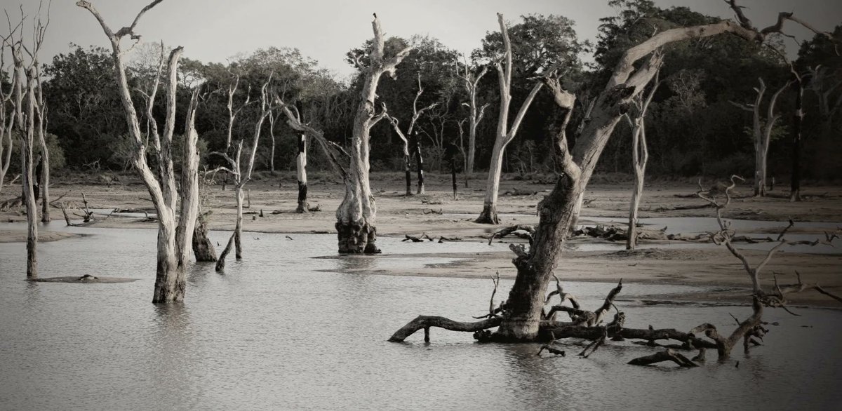 RegionalLeadership tweet media