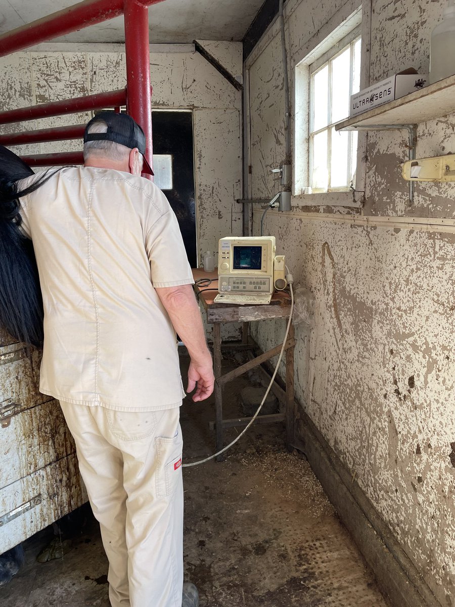 Making the game better through technology at Midland Acres today with @equitrace_app <a href="/USMerckProducts/">US Merck Products</a> <a href="/midlandacres/">Midland Acres</a> <a href="/USTrotting/">U.S. Trotting Assn.</a>