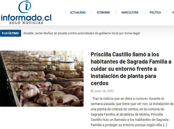 Informado_cl's tweet photo. Priscilla Castillo llamó a los habitantes de Sagrada Familia a cuidar su entorno frente a instalación de planta para cerdos – Informado https://t.co/3Wgqwi59rI https://t.co/eYHcmca9t9