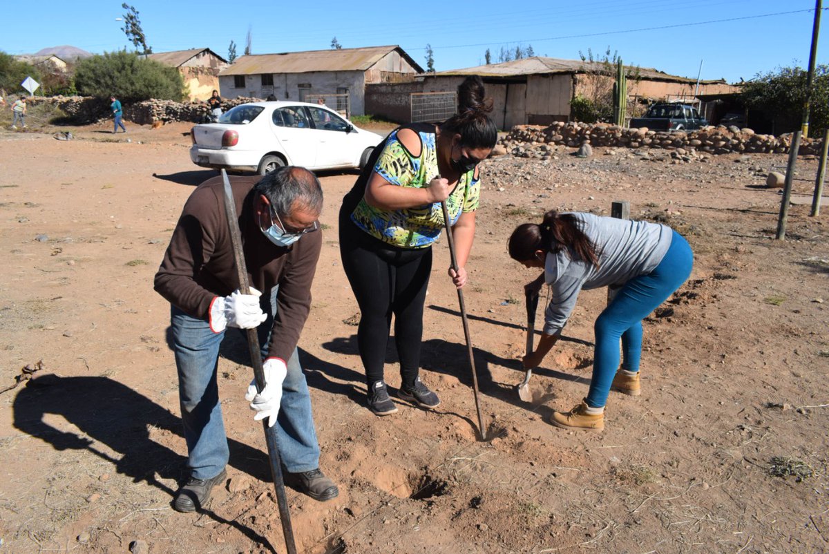 Con arborización en Hda.Buena Esperanza <a href="/MuniVallenar/">Muni Vallenar</a>,<a href="/conaf_minagri/">CONAF - Corporación Nacional Forestal</a>, comunidad educativa del Jardín Infantil El Membrillar,la Escuela Sor Teresa de Los Andes y Junta de Vecinos conmemoran el Día Mundial del Árbol #VallenarAvanza