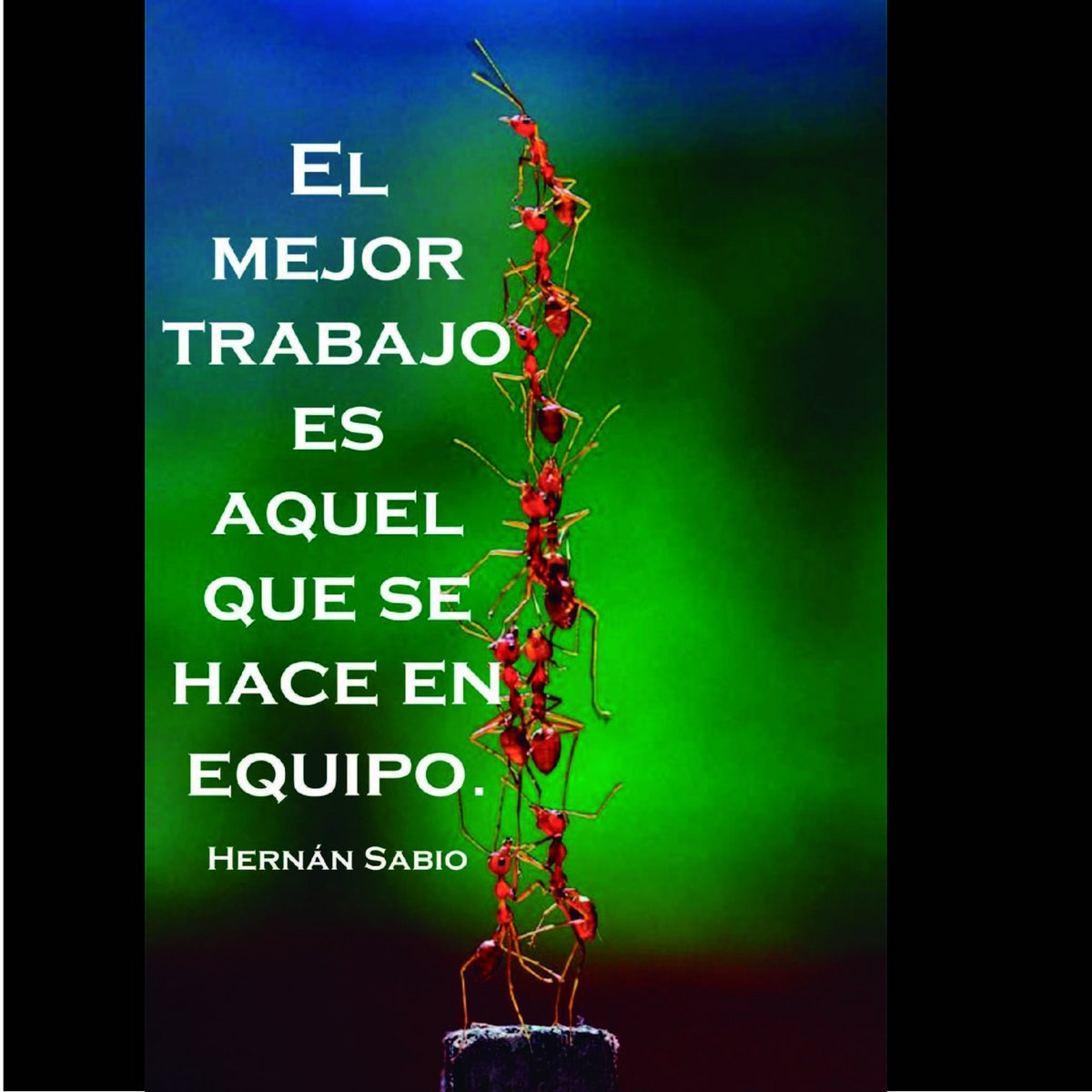 Buena Semana les desea el equipo de #derechodeltrabajoparatodosytodas ☺️