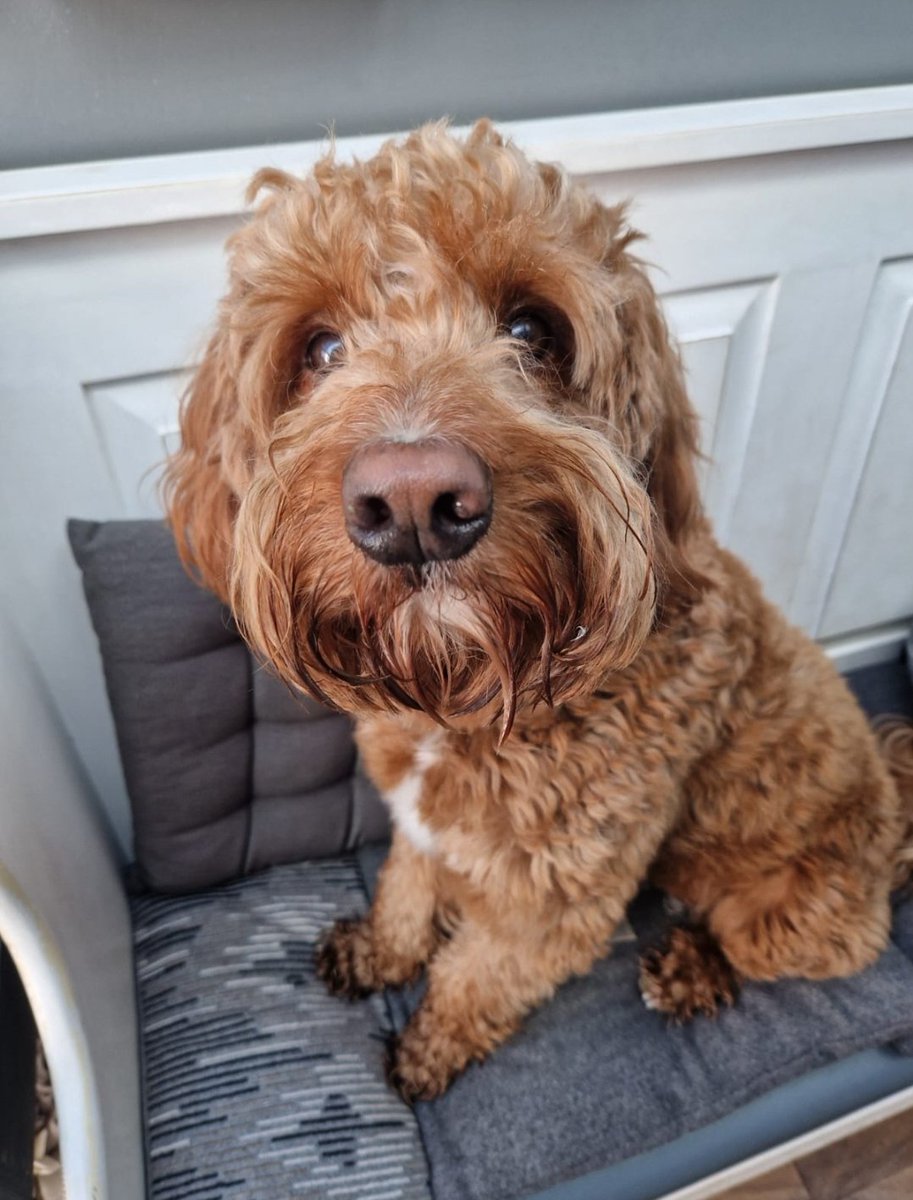 Timeline cleanser.
🥰 #weallneedabreakfromhere