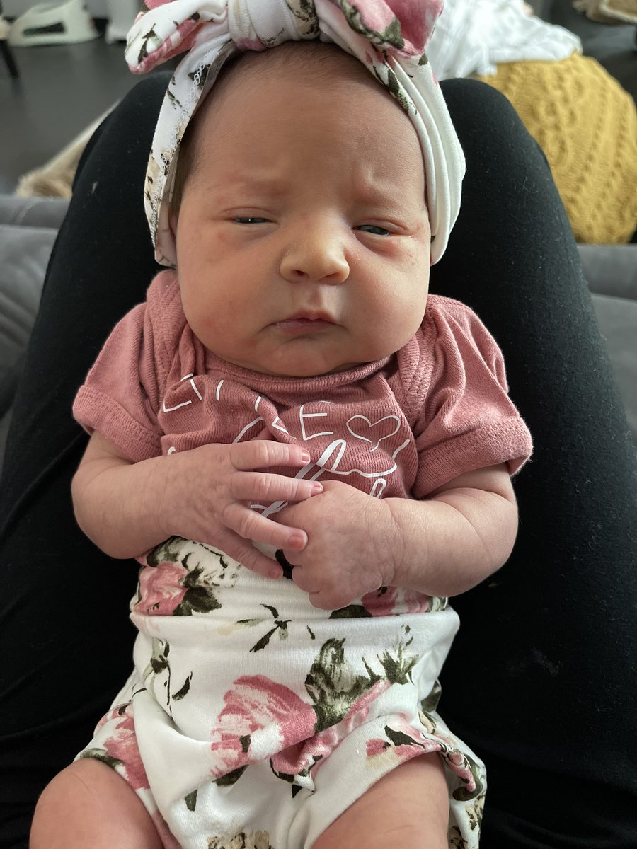 Brandon Chall tweet media