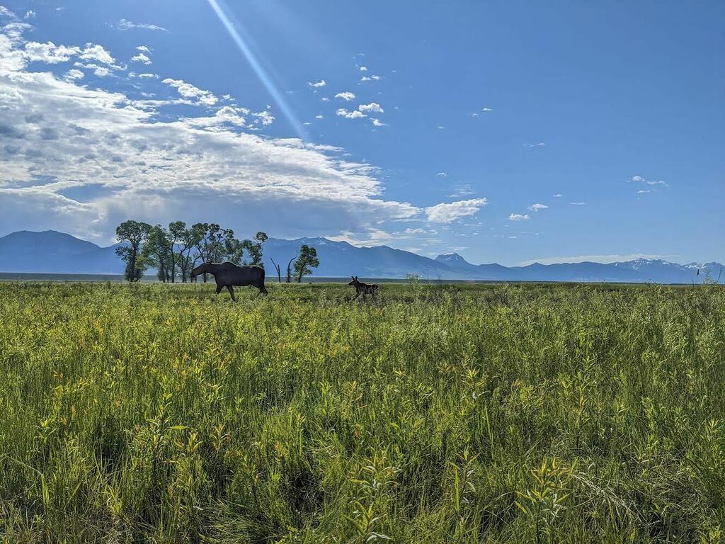 It’s not all about a bent rod!

#montanaforever instagr.am/p/CfXR_gDvOA1/