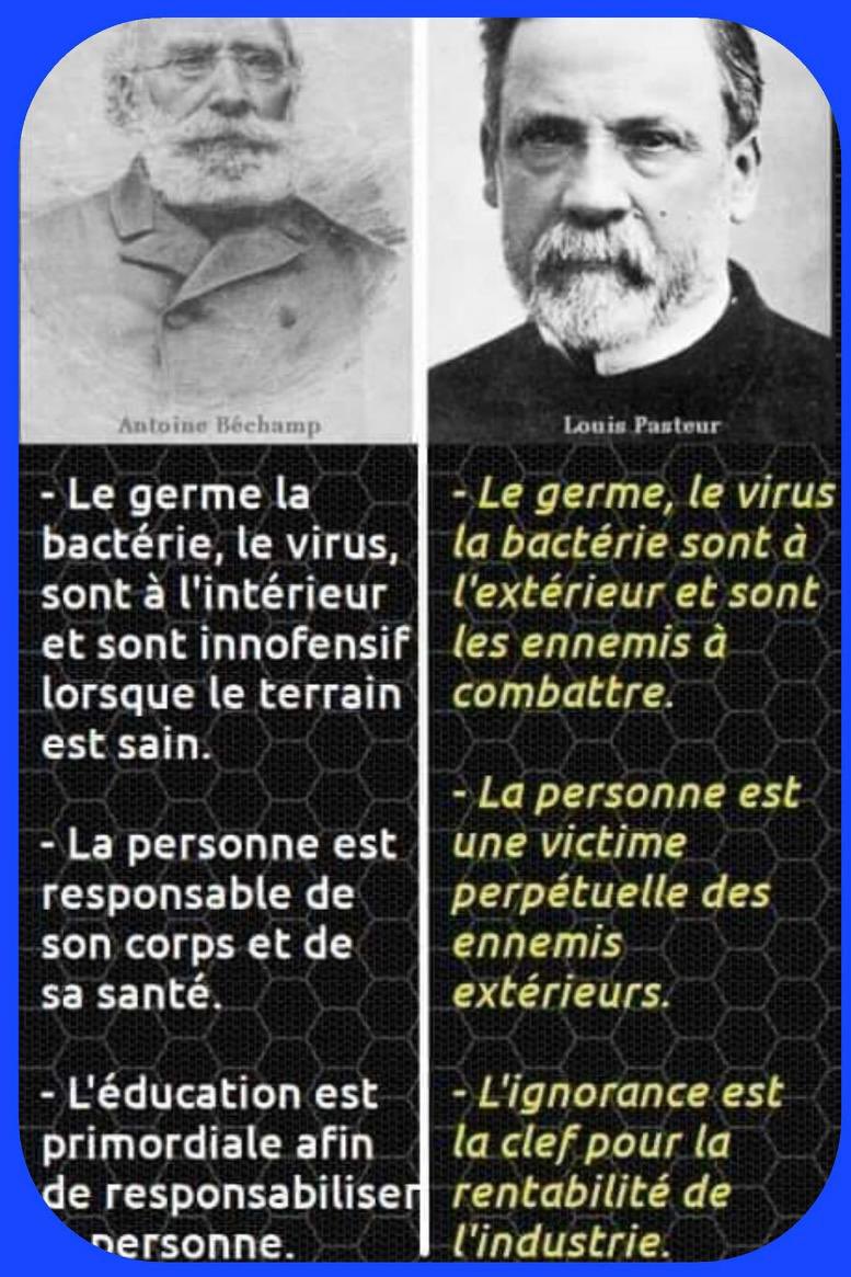 bisounours tweet media