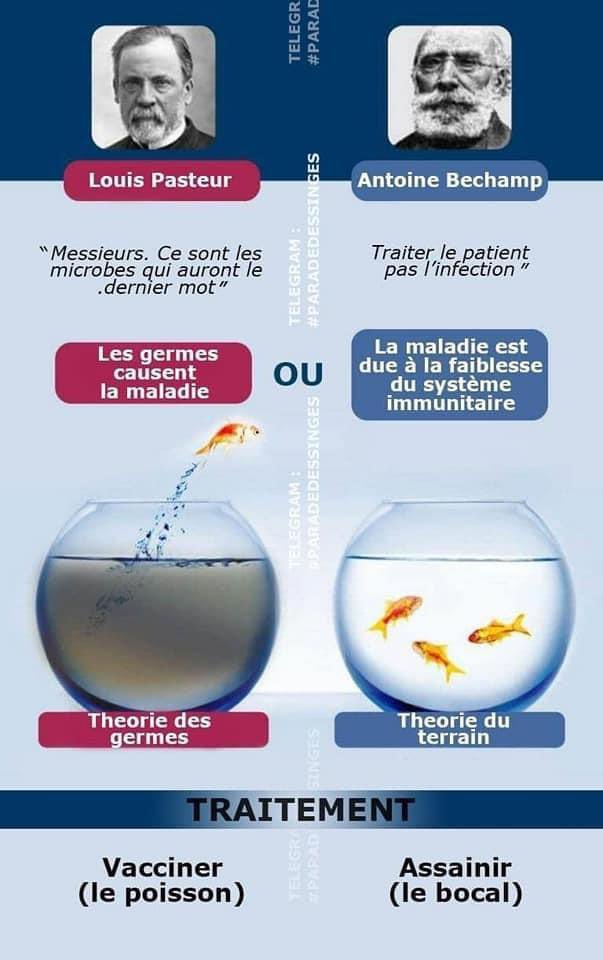 bisounours tweet media