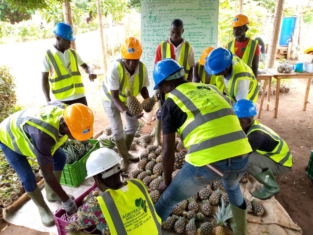 elhadjham's tweet photo. Quand produire de la valeur ajoutée à la Ferme-école #AGRITRADE #AFRICA. Nous formons la jeunesse togolaise @GouvTg à trouver sa voie grâce à l'agriculture. Le projet DFPA/ANPE/ProDED permet aux jeunes de bénéficier d'une formation qualifiante grâce à la #GIZ. #TgTwittos https://t.co/sFK4YSvCDr