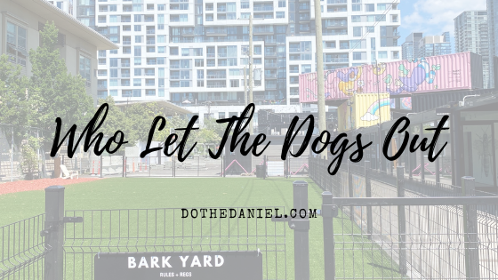 dothedaniel's tweet photo. Toronto is about to get a massive off leash dog area in the heart of the city.
Read all about it now!
https://t.co/PKSWRwV0A8
#Stackt #DoTheDaniel #SeeTorontoNow #Dogs https://t.co/89mOQX0DQk